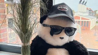 Der Pandabär des Bürgermeisters.